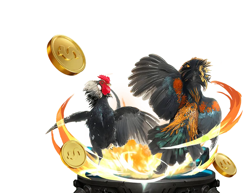 Sảnh Đá Gà S128